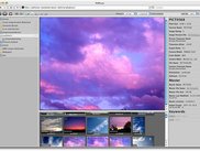 PHPture in Apple Safari showing a preview of an image.