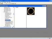 The PiggViewer Application