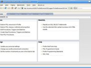 Initial browser IDE screen after connecting to PIP