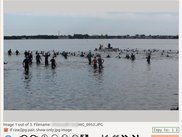 Image Viewer