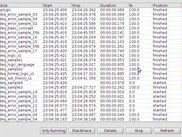 Showing the process view [0.04.06]