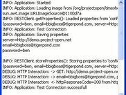A debug console provides developers with details information