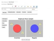 Data display as pie charts