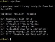 The main POPBAM menu invoked by calling the program with no arguments