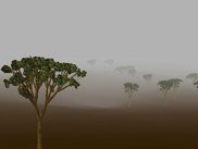 OpenGL-View of a scene containing a ground and plants