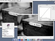 v1.1.0 on Macintosh, showing the "Curves" tool with previe