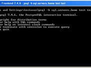 Native PostgreSQL Terminal