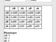 A sample result for parents AaBb and AaBb.