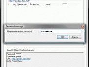 Password manager 1.3