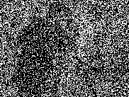 The Cameraman - Decrypted Image