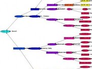 Newfoundland pedigree colored by number of descendants.