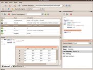 The console window on Ubuntu