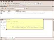 Console window with calltip active
