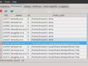 Process view