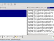 Selecting files and directories to process
