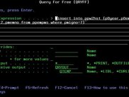 qryff command - 1st screen