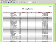 report generator