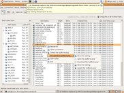 Main work-Dialog from WebDav Explorer on Linux