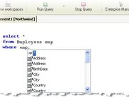 QueryCommander the SQL Editor