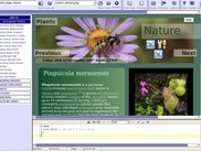 PageBuilder, Web base WYSIWYG user interface creator