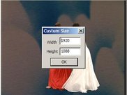 custum size selection dialog