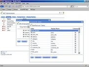 RBT Security Administrator
