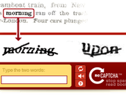 Google Recaptcha screen sample