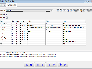 Binary file in single record format