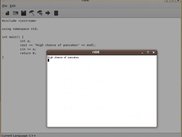 The current hack for running the program: An xterm window!
