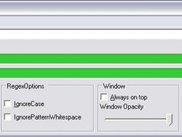 Empty program window