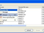 The report dialog (in case of difficulties).