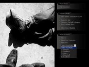 Statistics of Each Photo