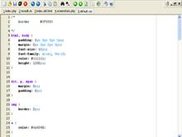 RexEdit main window