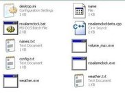 The Alarm folder that holds all the files