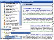 Fast local search with optional hit excerpts view