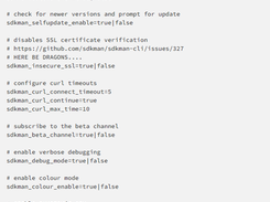 SDKMAN! CLI Screenshot 1
