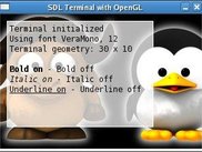SDL Terminal with OpenGL