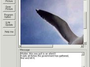 screen shot