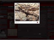 Show Product Image