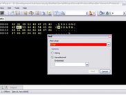 Data offset