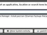 Shaman Runner: installing packages