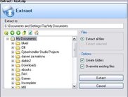Extract Window