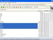 Detail view of siteXplorer