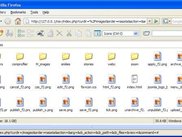 Icon view of siteXplorer