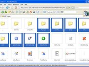 Thumbnail view of siteXplorer