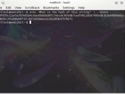 Demonstration of how to use the script.