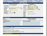 Task / problem window. This is where all details are shown.