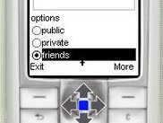Posting attributes form