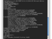 somFree on Raspberry PI