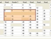 Custom selection style